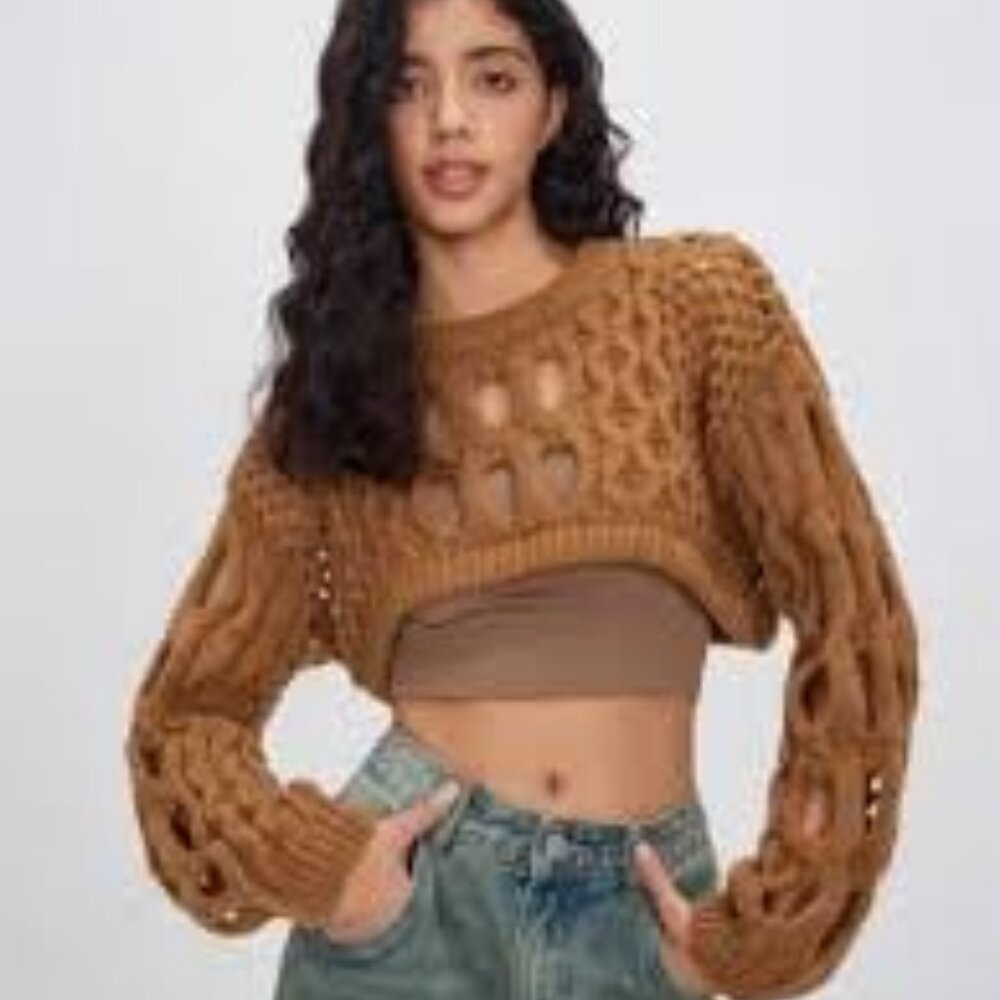 NWT CIDER Hollow Out Long Sleeve Crop Sweater Brown SM